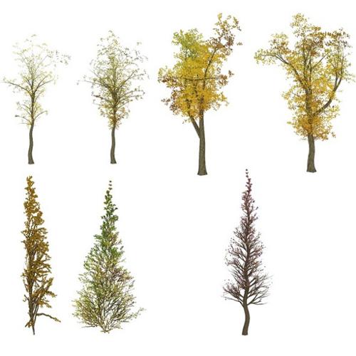 Tree Textures preview image